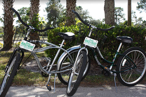 Coaster Brake Cruisers